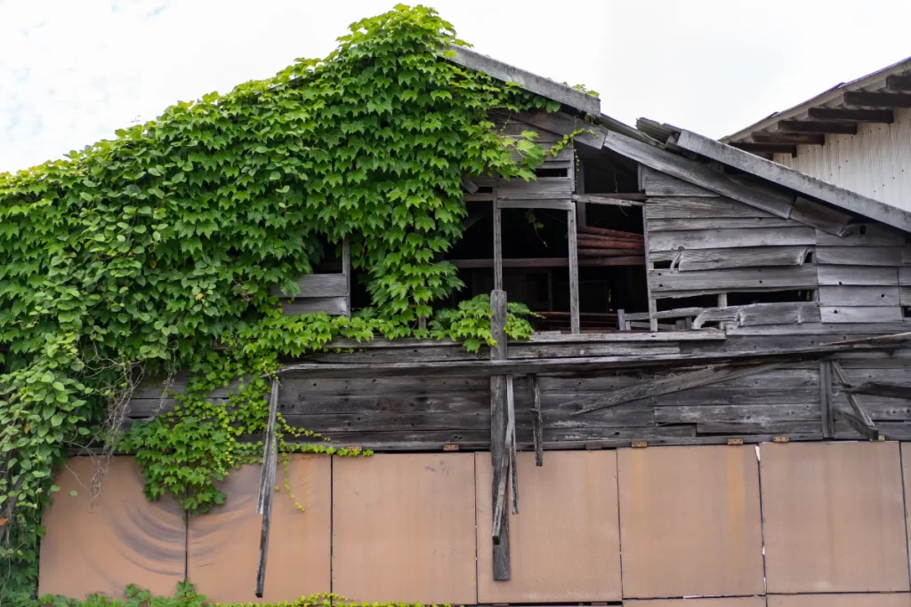 空き家で放置された実家