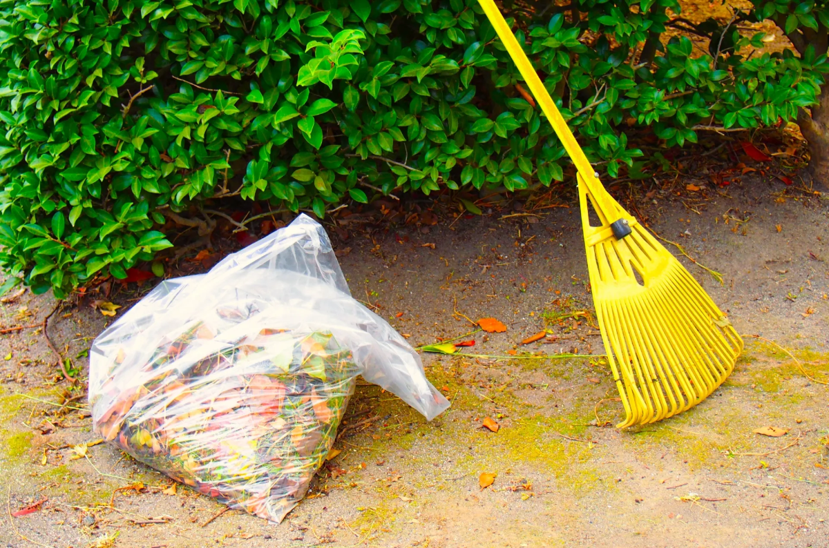 町内清掃が面倒くさい